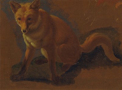 Study of a Fox by Jacques Laurent Agasse